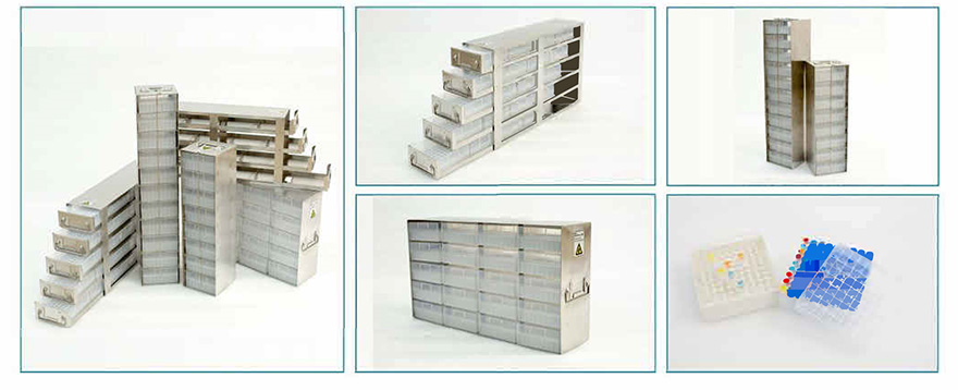 الصورة_20240403151134