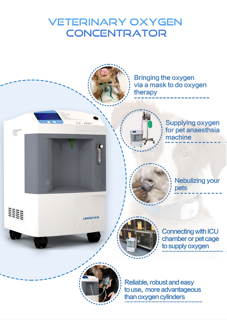 دكتور بيطري