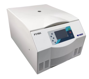 Image_20250303102512